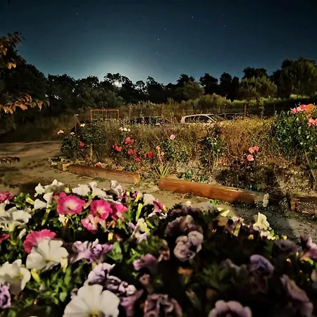 Balcon Del Camino Viejo Valencia de Alcantara