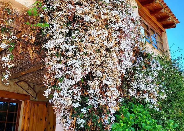 Balcón Del Camino Viejo Casa rural Valencia de Alcántara